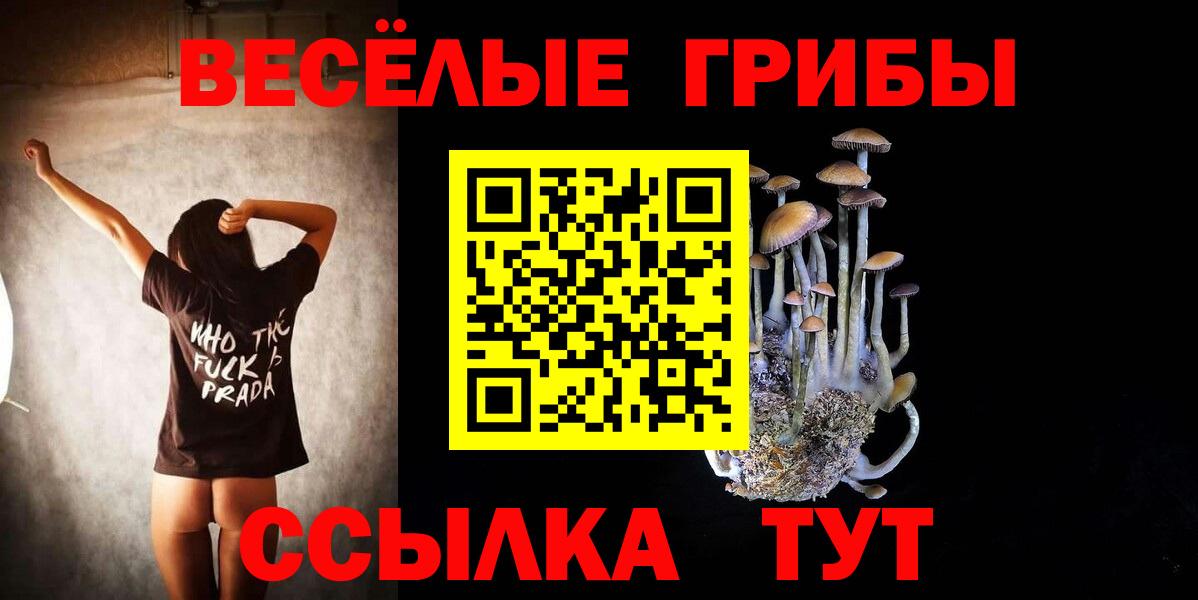 Псков  Галлюциногенные грибы ЛСД  Вход с VPN 