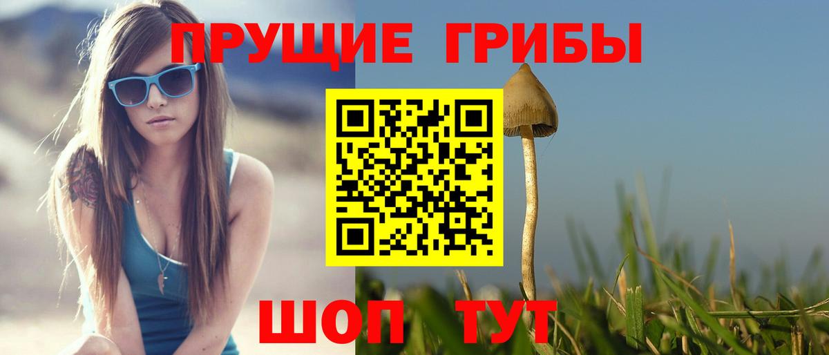 Галлюциногенные грибы MAGIC MUSHROOMS Псков